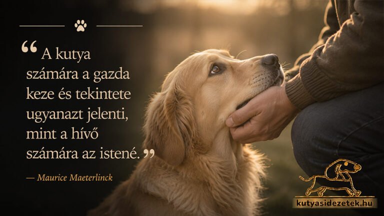 A kutya számára a gazda keze és tekintete ugyanazt jelenti, mint a hívő számára az istené.