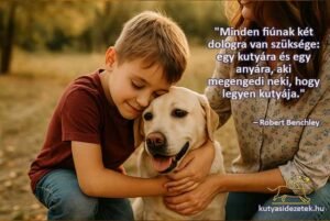 kutyás idéezetek Minden fiúnak két dologra van szüksége