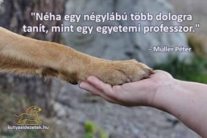 müller péter idézetek Néha egy négylábú