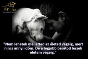 kutyás idézetek - Nem lehetek melletted az életed végéig
