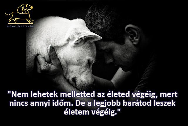 kutyás idézetek - Nem lehetek melletted az életed végéig