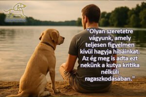 kutyás idézetek - Olyan szeretetre vágyunk