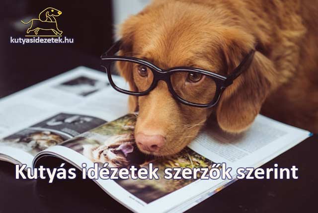 Szemüveges kutya magazint néz – kutyás idézetek szerzők szerint