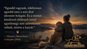 Nő és kutyája együtt nézik a csillagos égboltot egy hegytetőről, Maurice Maeterlinck idézetével az ember és kutya különleges kapcsolatáról