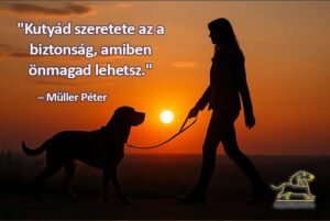 Müller Péter idézetek Kutyád szeretete az a biztonság