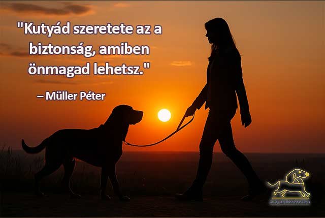 Müller Péter idézetek Kutyád szeretete az a biztonság