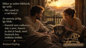 Férfi és nő kutyával egy meghitt szobában naplementében, Rudyard Kipling kutyás idézetével és kutyasidezetek.hu logóval