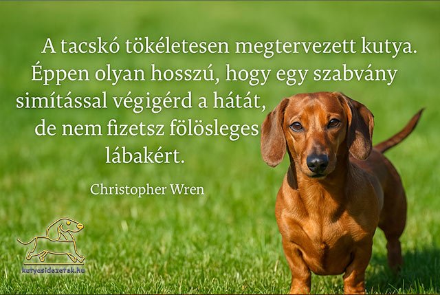 tacskó idézetek Christopher Wren