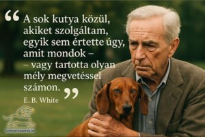 tacskó idézetek E. B. White