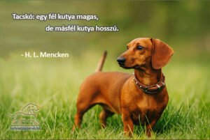 tacskó idézetek H. L. Mencken