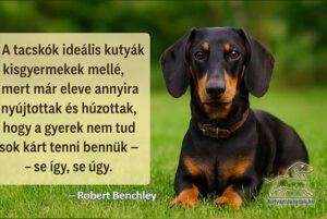 tacskó idézetek – Robert Benchley