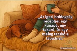 tacskós idézetek Az igazi boldogság receptje
